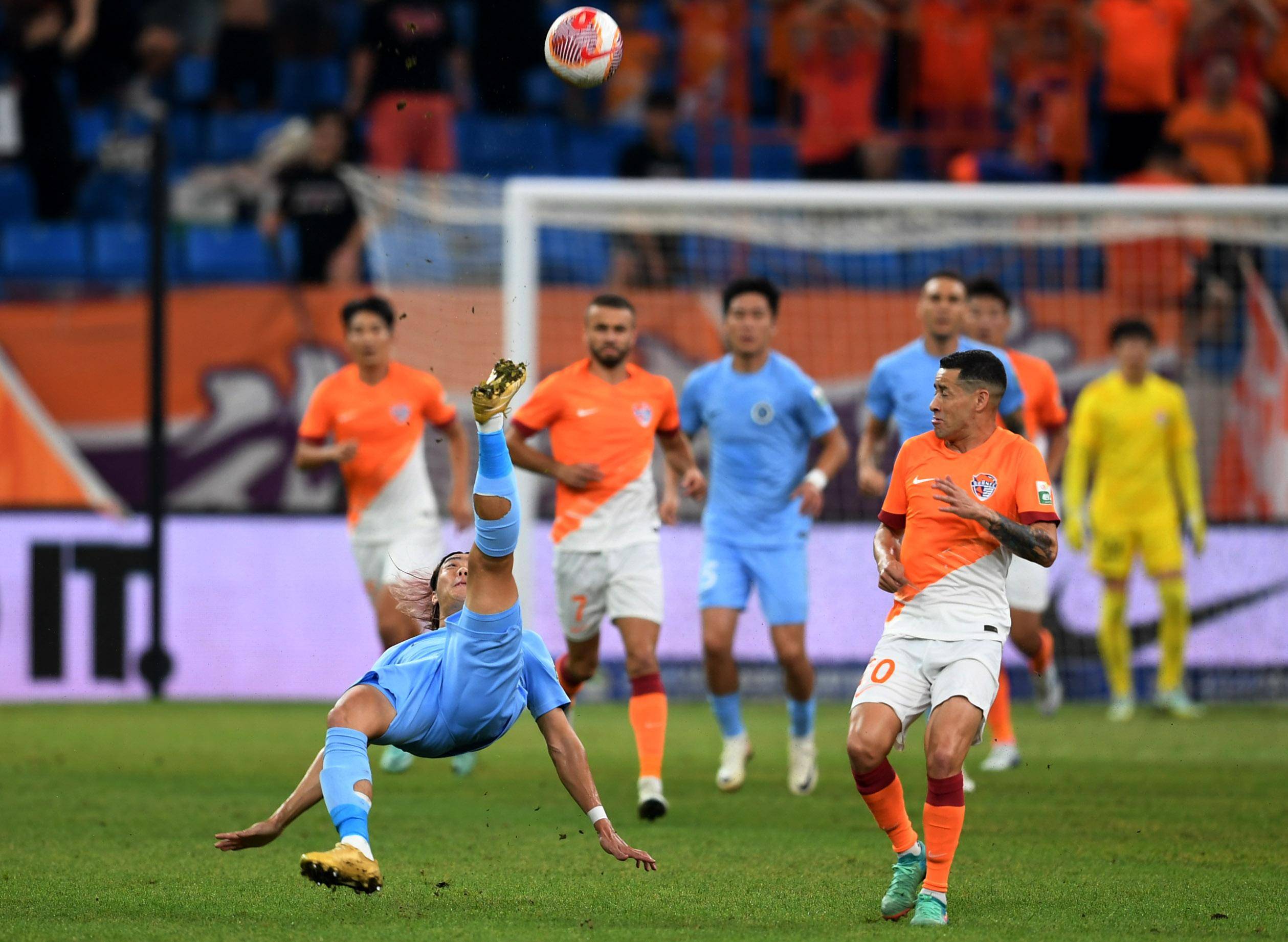 了他们在智 了他们在智